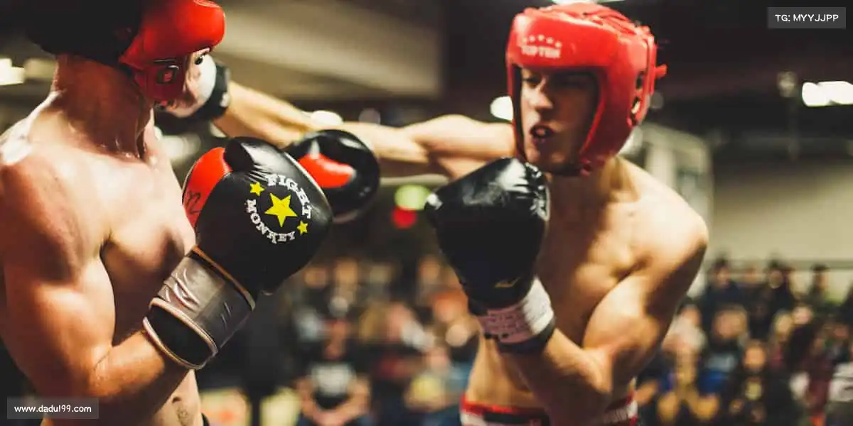 金年会体育官网——凝聚力量，共赴胜利之路！🏀